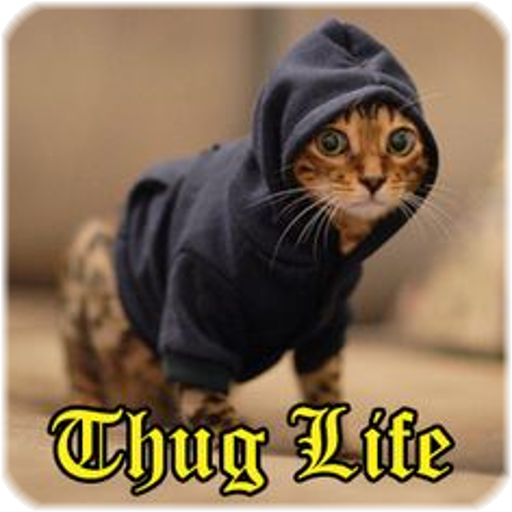 Thug Life Funny Videos
