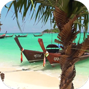 Thai boat Video Live Wallpaper APK