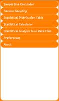 Statistics and Sample Size Affiche