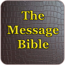 APK The Message Audio Bible