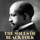 THE SOULS OF BLACK FOLK + STUDY GUIDE APK