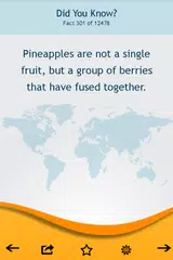 Did You Know? Facts APK Herunterladen