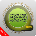 Islamic Audios Library Pro আইকন