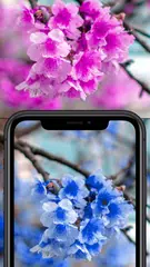 Color Changing Camera XAPK 下載