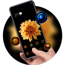 Blooming flowers in the dark theme bright  rose APK