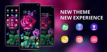 Theme for roses flowers hd lau