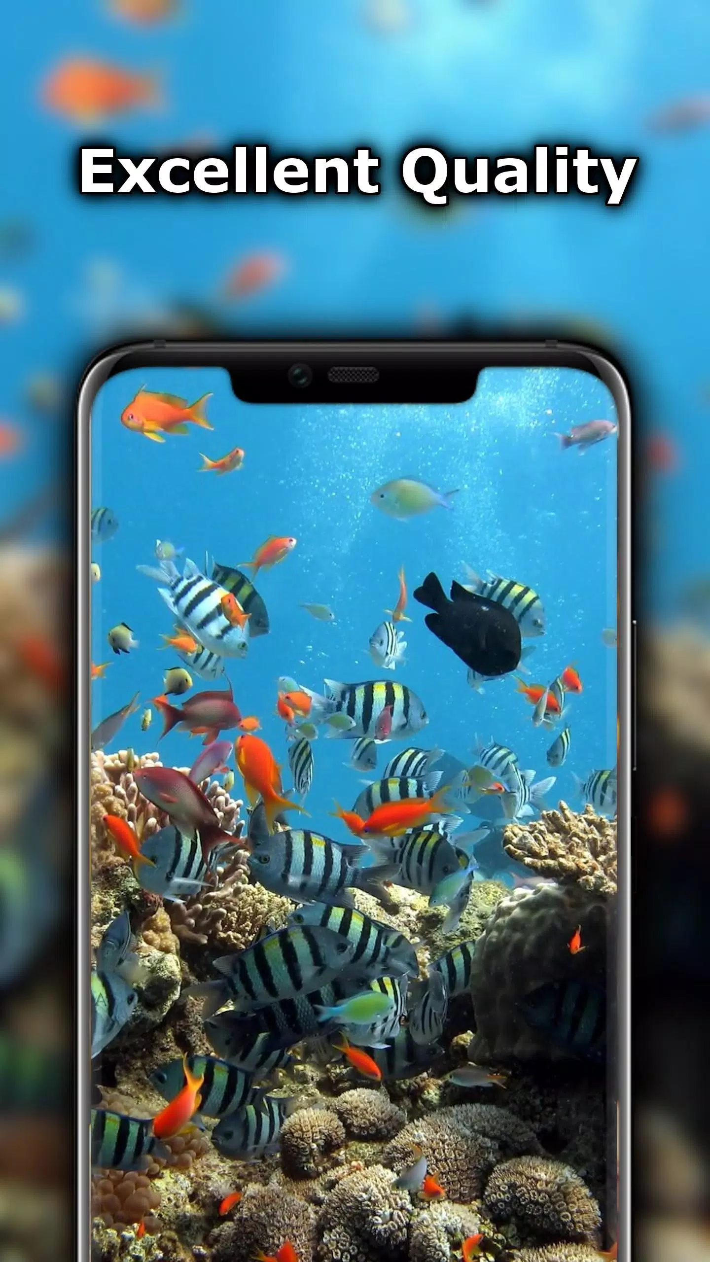 Android向けの実際の水族館の壁紙 Apkをダウンロードしましょう