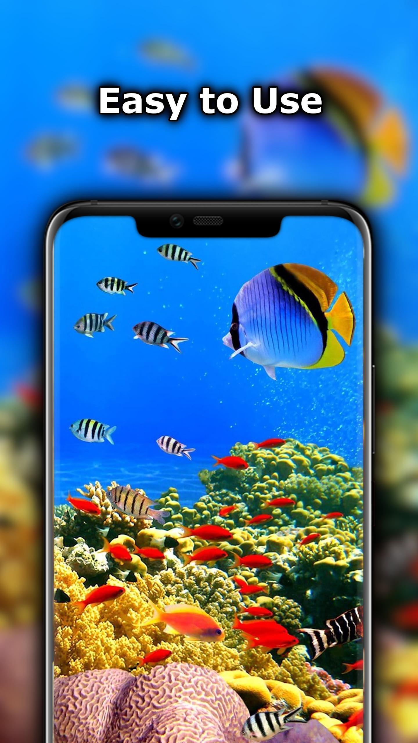 Download 97+ Background Aquarium Arwana HD Gratis