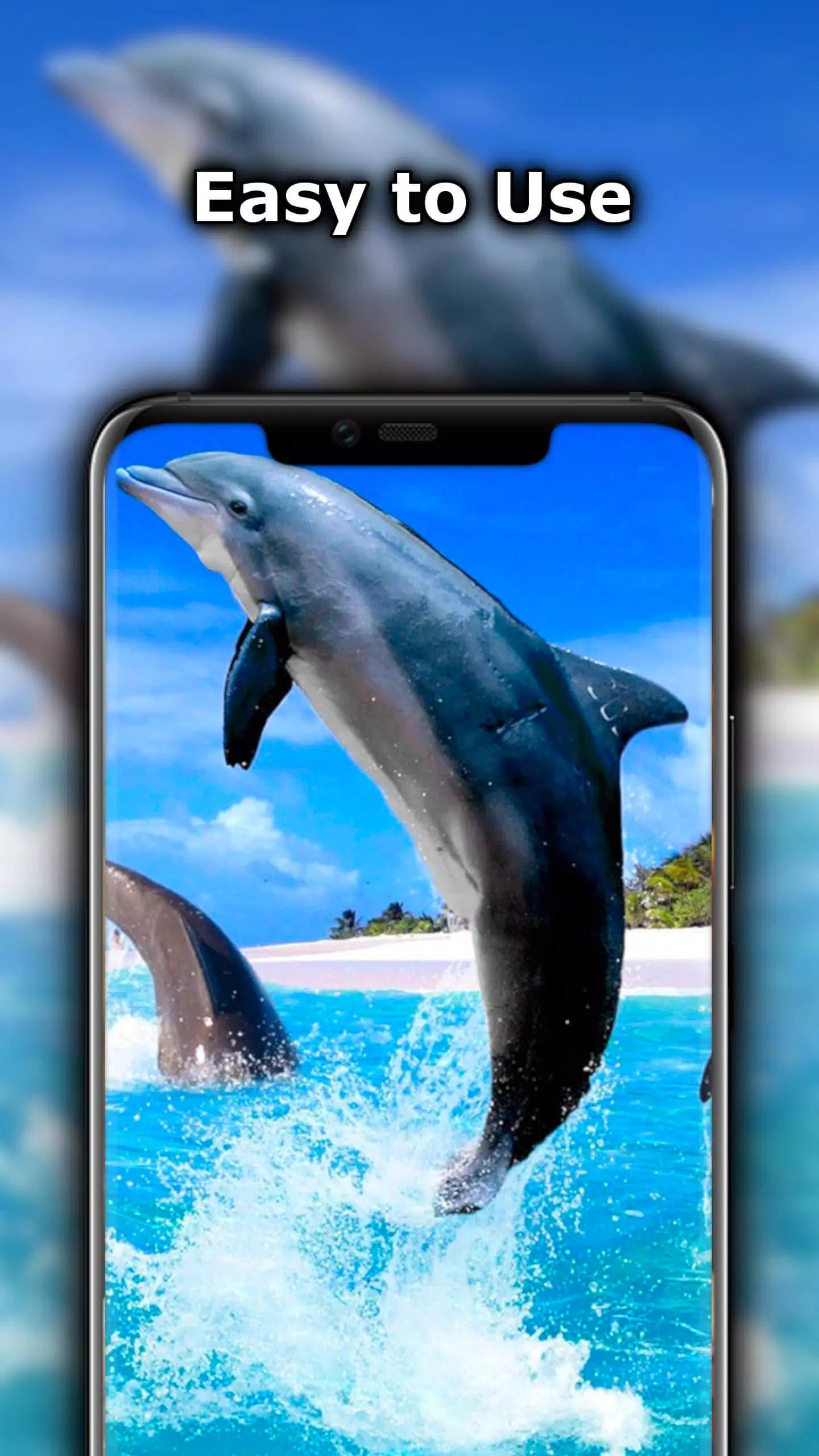 Baby Dolphin Wallpaper APK for Android Download Baby Dolphin Wallpaper APK for Android Download