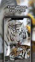 برنامه‌نما White Tiger Wallpaper عکس از صفحه