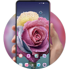 Rose theme | flower beautiful  icono