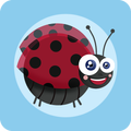 Lady Bird