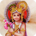 krishna stuti chalisa mantras