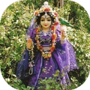 tulsi maa hindi audio mantras APK
