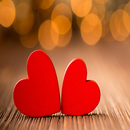 College Love Story APK