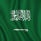 المملكة العربية السعودية icône