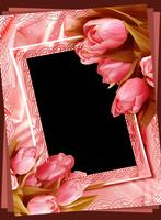 Flower Photo Frames تصوير الشاشة 2