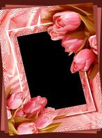 Flower Photo Frames capture d'écran 2