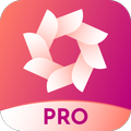 D-Gallery Pro