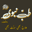 Tib e Nabvi se Ilaj - Complete APK
