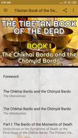 The Tibetan Book of the Dead - Affiche