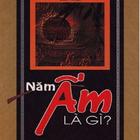 Năm Ấm Là Gì (Ngũ Uẩn - hay) icon