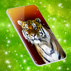Tiger Live Wallpapers icône