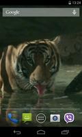 Tigre d'écran animé vidéo capture d'écran 1