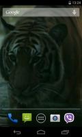 Tigre d'écran animé vidéo capture d'écran 2