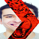 The Face Of The Red Tiger আইকন