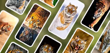 Hintergrundbilder mit Tiger 4K