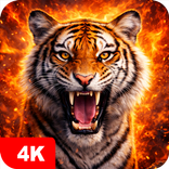 Tiger Wallpapers 4K