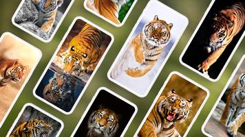 Tiger Wallpapers 4K पोस्टर