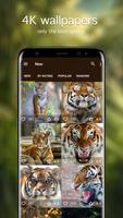 Tiger Wallpapers 4K स्क्रीनशॉट 1