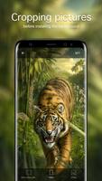 Tiger Wallpapers 4K स्क्रीनशॉट 3