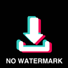 Download TikTok Video No Watermark ícone