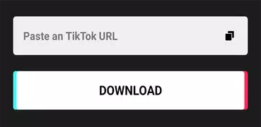Загрузчик видео для Tiktok - без водяных знаков