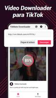 Video Downloader para TikTok - TikMate Poster