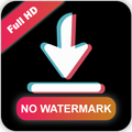 TikDoom - Video Downloader