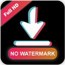 TikDoom - Tiktok Downloader-APK
