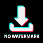 SnapTik Video Downloader TikTok Without Watermark ไอคอน