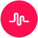 developerstek@gmail.com APK