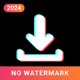 Tiktok Video Downloader