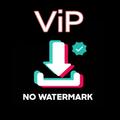 Tiktok VIP