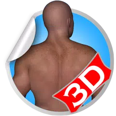 Back 3D Fitness Workout Sets APK 下載