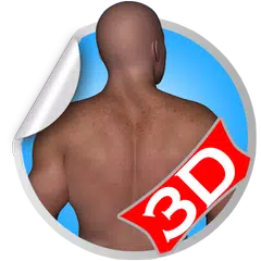 Back 3D Fitness Workout Sets