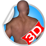 Back 3D Fitness Workout Sets simgesi