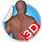 Back 3D Fitness Workout Sets icon