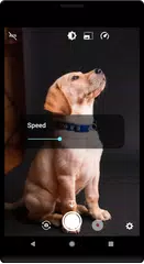 Time warp scan - Blue line fil APK download