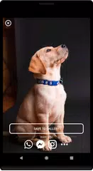 Time warp scan - Blue line fil APK download